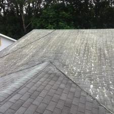 Roof cleaning l 10