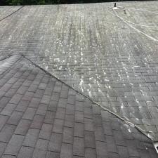 Roof cleaning l 18