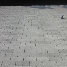 Roof cleaning l 21