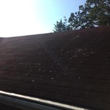 Roof cleaning l 30