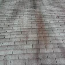 Roof cleaning p 06